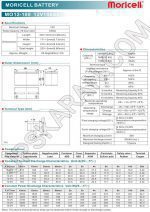 باتری یو پی اس 12 ولت 100 آمپر موریسل-دیتاشیت1