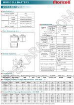 باتری یو پی اس 12 ولت 42 آمپر موریسل-دیتاشیت1
