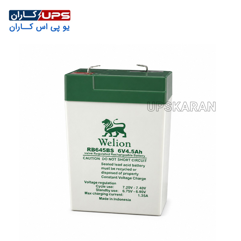 welion-battery-6v-4.5ah باتری ویلیون 6 ولت 4.5 آمپر